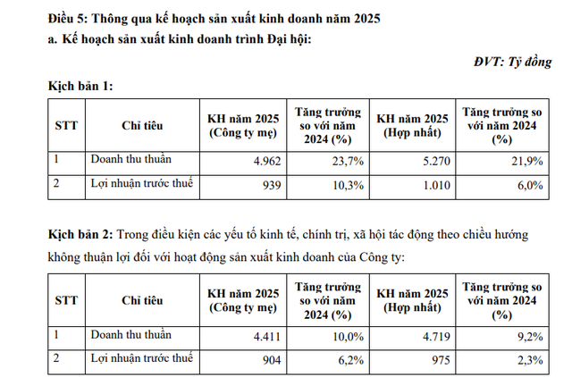 Vicostone lên 2 kịch bản kế hoạch lợi nhuận- Ảnh 1.