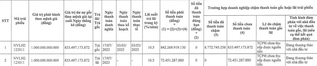 Novaland tiếp tục ‘khất nợ’ gần 906 tỷ đồng gốc và lãi trái phiếu- Ảnh 1.