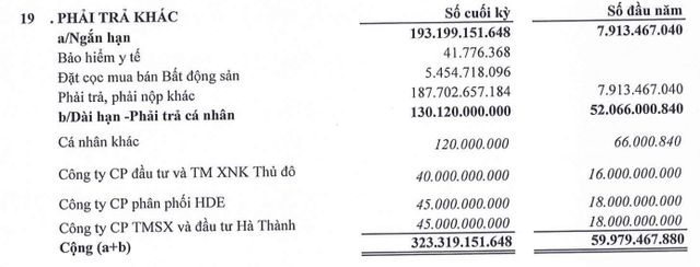 Loạt trái phiếu được gia hạn hé lộ nhóm doanh nghiệp của Chủ tịch TIG Nguyễn Phúc Long- Ảnh 1.