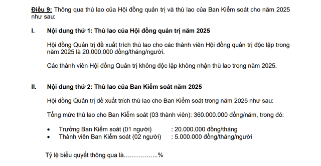 HĐQT Vietcap chỉ nhận 720 triệu đồng thù lao, tiền thưởng,.. năm 2024- Ảnh 1.