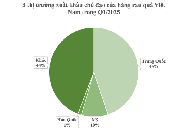 Mỹ tăng gần gấp đôi mua mặt hàng ‘cây nhà lá vườn’ của Việt Nam: Thu hơn 100 triệu USD trong quý 1- Ảnh 1.