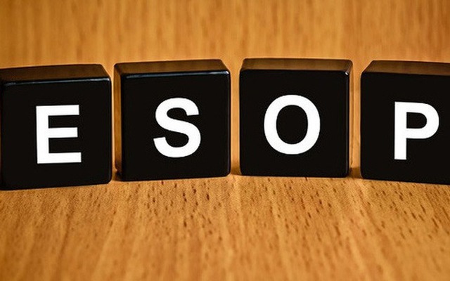 Loạt ngân hàng lên kế hoạch phát hành cổ phiếu ESOP năm 2025- Ảnh 1. Loạt ngân hàng lên kế hoạch phát hành cổ phiếu ESOP năm 2025- Ảnh 1.