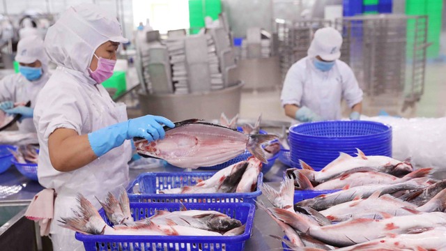 Nỗi buồn của 'nữ hoàng cá tra' Vĩnh Hoàn: Vừa thoát thuế chống bán phá giá, lập tức đối mặt với thuế cực cao từ Mỹ- Ảnh 1.