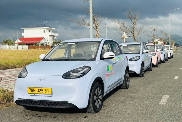 Taxi điện rẻ nhất Việt Nam bất ngờ tung ra dịch vụ cực hấp dẫn: Thuê xe kèm lái 50km giá 390.000 đồng - Ảnh 2.