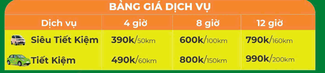 Taxi điện rẻ nhất Việt Nam bất ngờ tung ra dịch vụ cực hấp dẫn: Thuê xe kèm lái 50km giá 390.000 đồng - Ảnh 1.