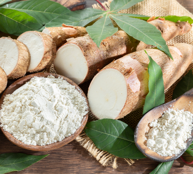 Một loại củ tỷ USD của Việt Nam đang được nước giàu thứ 2 châu Á săn lùng: Xuất khẩu tăng 1.265% trong tháng qua- Ảnh 1.