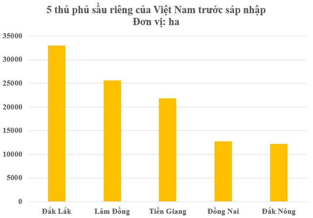 Việt Nam có thủ phủ sầu riêng mới sau sáp nhập tỉnh thành, diện tích trồng chiếm 1/4 cả nước- Ảnh 1.