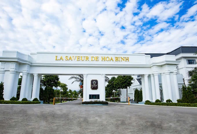 Chủ đầu tư dự án La Saveur De Hòa Bình nợ thuế gần 849 tỷ đồng- Ảnh 2. Chủ đầu tư dự án La Saveur De Hòa Bình nợ thuế gần 849 tỷ đồng- Ảnh 2.