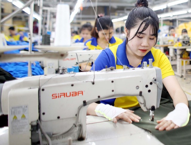 Tin vui “đặc biệt”: Doanh nghiệp SME được miễn thuế thu nhập trong 3 năm, startup đổi mới sáng tạo nhận “mưa” ưu đãi thuế- Ảnh 1. Tin vui “đặc biệt”: Doanh nghiệp SME được miễn thuế thu nhập trong 3 năm, startup đổi mới sáng tạo nhận “mưa” ưu đãi thuế- Ảnh 1.