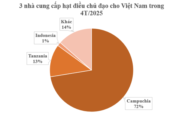 'Cứu tinh' từ Campuchia đổ bộ giúp Việt Nam củng cố ngôi vương của thế giới: Nhập khẩu hơn 1 triệu tấn trong quý 1, là mặt hàng được Mỹ cực ưa chuộng- Ảnh 1. 'Cứu tinh' từ Campuchia đổ bộ giúp Việt Nam củng cố ngôi vương của thế giới: Nhập khẩu hơn 1 triệu tấn trong quý 1, là mặt hàng được Mỹ cực ưa chuộng- Ảnh 1.