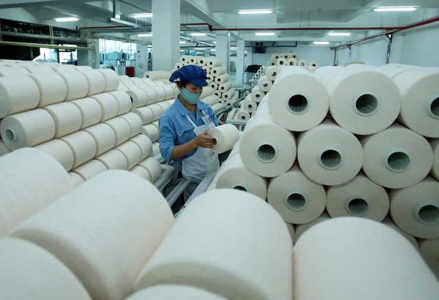 Lãnh đạo Sợi Thế Kỷ muốn ‘gom’ 7 triệu cổ phiếu STK- Ảnh 1.