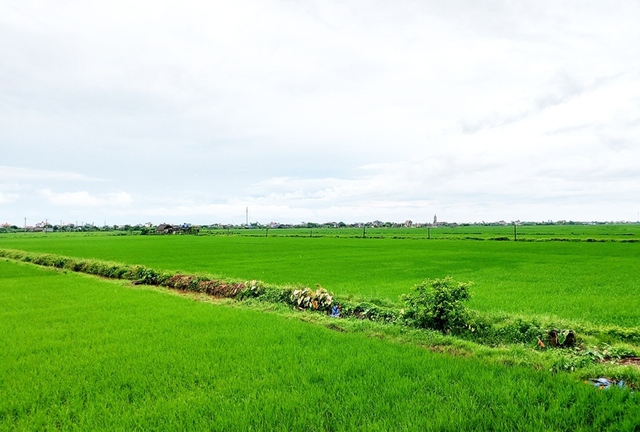 Người dân lưu ý một số điều kiện quan trọng sau đây khi muốn chuyển nhượng đất đai trong năm 2025- Ảnh 1.