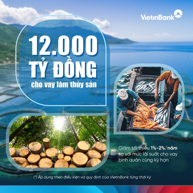 VietinBank nâng quy mô gói tín dụng, đẩy mạnh đầu tư lĩnh vực lâm, thủy sản - Ảnh 1. VietinBank nâng quy mô gói tín dụng, đẩy mạnh đầu tư lĩnh vực lâm, thủy sản - Ảnh 1.