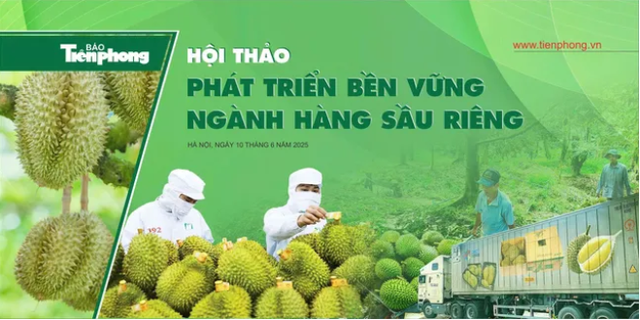 Trách nhiệm của từng bên trong câu chuyện sầu riêng Việt: Nhiễm cadimi không phải hoàn toàn là lỗi của người nông dân! - Ảnh 2.
