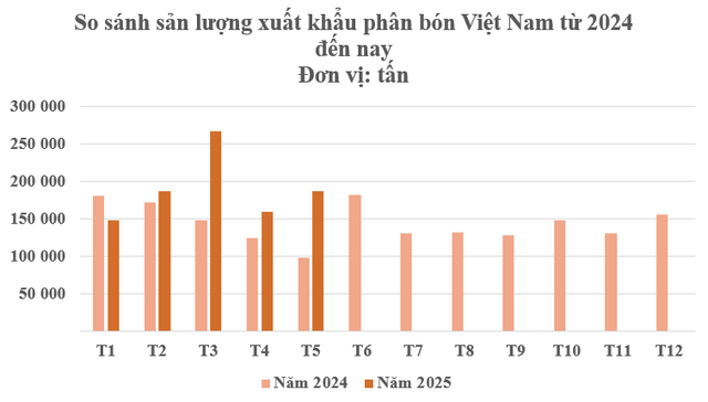 Hàng trăm nghìn tấn hàng của Việt Nam vừa đổ bộ Campuchia: Được mệnh danh cứu tinh của nông sản, nước ta tiêu thụ hàng chục triệu tấn mỗi năm - Ảnh 2.