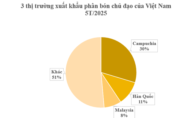Hàng trăm nghìn tấn hàng của Việt Nam vừa đổ bộ Campuchia: Được mệnh danh cứu tinh của nông sản, nước ta tiêu thụ hàng chục triệu tấn mỗi năm - Ảnh 3.