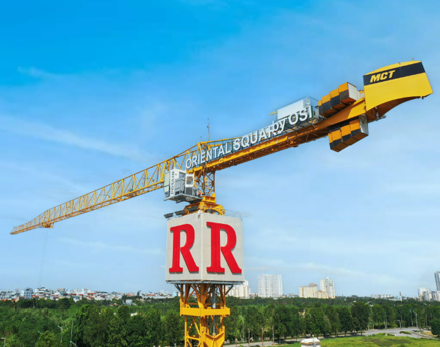 Động thái mới của nhà đầu tư nước ngoài tại Ricons - Ảnh 1.
