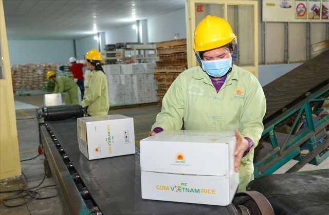 Lộc Trời dự kiến lỗ hơn 500 tỷ đồng năm 2025, hủy kế hoạch trả cổ tức 2023 - Ảnh 1.