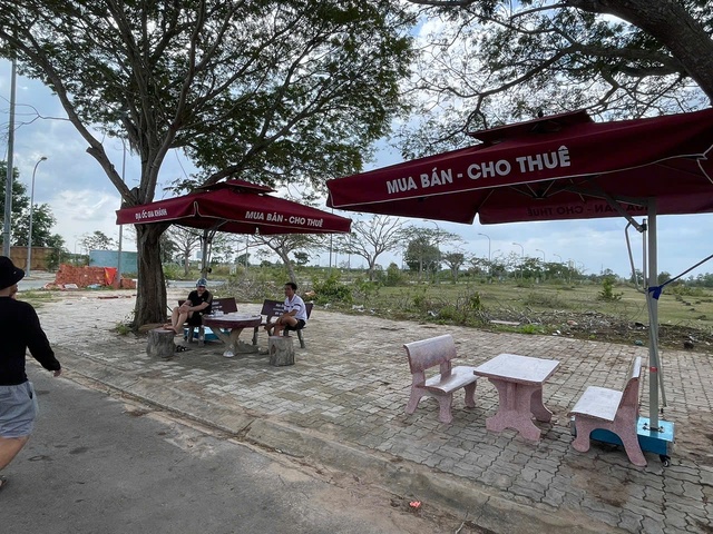6 tháng cuối năm, đất nền phía Nam sẽ diễn biến thế nào? - Ảnh 1.