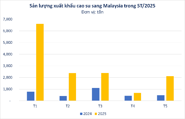 Hàng chục nghìn tấn 'vàng trắng' của Việt Nam được Malaysia đổ tiền mua: xuất khẩu tăng hơn 300%, nước ta sở hữu diện tích trồng hơn 900.000 ha - Ảnh 2.