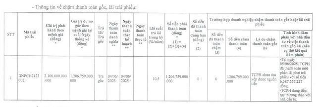 BNP Global “khất nợ” hơn 1.200 tỷ đồng gốc trái phiếu - Ảnh 1.