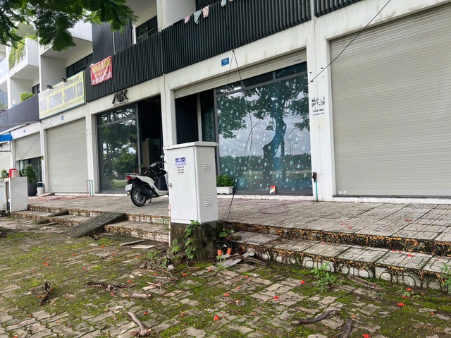 Shophouse triệu đô khu ven Tp.HCM: Chỗ hắt hiu, nơi sôi động, sự thật phía sau ít ai ngờ - Ảnh 4.