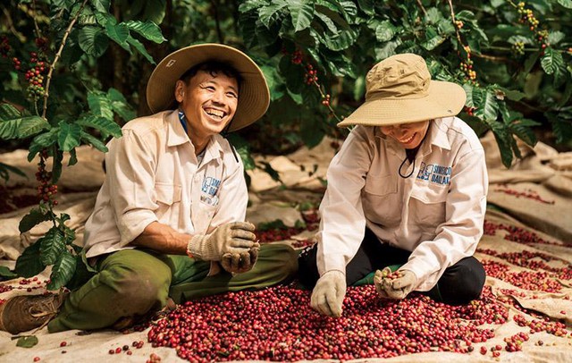 Một nông sản tỷ USD của Việt Nam được người dân nước láng giềng dùng hàng ngày, giá tăng vọt vẫn đặt mua hơn 8.000 tấn - Ảnh 1.