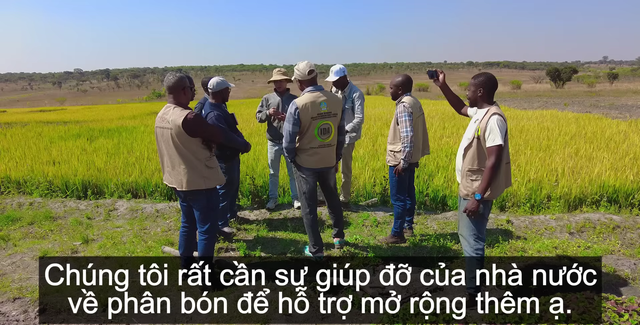 Sở Nông nghiệp Angola đến tận nơi xem team châu Phi thu hoạch lúa, được thưởng thức món nước giải khát đậm chất Việt Nam  - Ảnh 4.