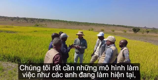 Sở Nông nghiệp Angola đến tận nơi xem team châu Phi thu hoạch lúa, được thưởng thức món nước giải khát đậm chất Việt Nam  - Ảnh 5.