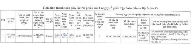Novaland tiếp tục chậm thanh toán gốc trái phiếu - Ảnh 1.