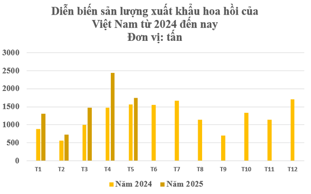 Loại hoa nghìn tỷ của Việt Nam được Ấn Độ có bao nhiêu mua bấy nhiêu: Thu gần 29 triệu USD kể từ đầu năm, nước ta cùng Trung Quốc thống trị nguồn cung toàn cầu- Ảnh 2. Loại hoa nghìn tỷ của Việt Nam được Ấn Độ có bao nhiêu mua bấy nhiêu: Thu gần 29 triệu USD kể từ đầu năm, nước ta cùng Trung Quốc thống trị nguồn cung toàn cầu- Ảnh 2.