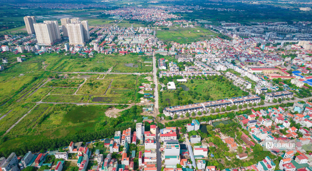 Kéo dài thời gian miễn thuế đất nông nghiệp đến hết 2030 - Ảnh 1.