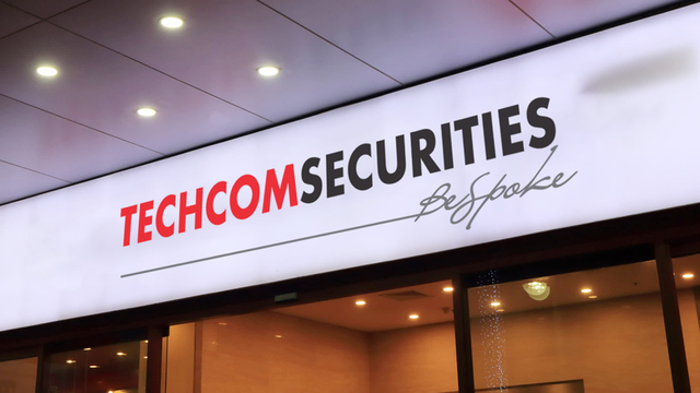 TCBS lần đầu công bố kế hoạch IPO 231 triệu cổ phiếu, tăng quy mô vôn dẫn đầu ngành chứng khoán - Ảnh 1.