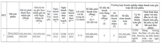 Chủ đầu tư dự án Aqua City chậm thanh toán 502 tỷ đồng gốc trái phiếu - Ảnh 1.