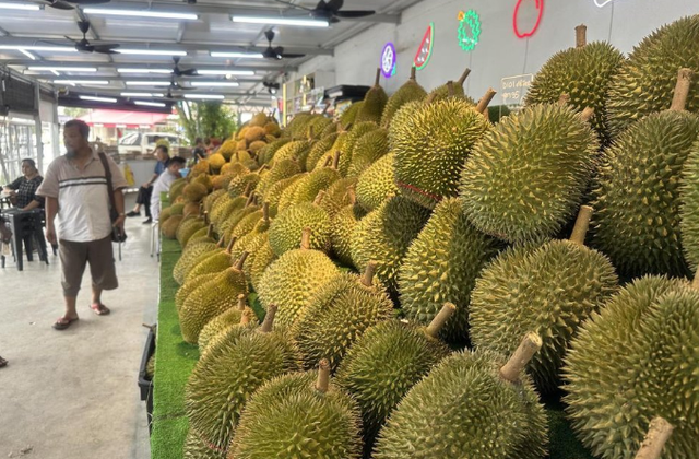 Indonesia đạt được thỏa thuận xuất khẩu sầu riêng với Trung Quốc - Ảnh 1.