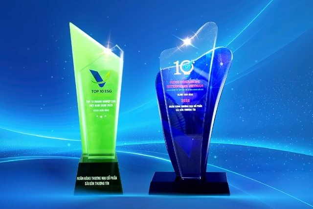 Sacombank đạt 2 giải thưởng VIE 10 và ESG 10 – Khẳng định mục tiêu kinh doanh hiệu quả và phát triển bền vững - Ảnh 1.