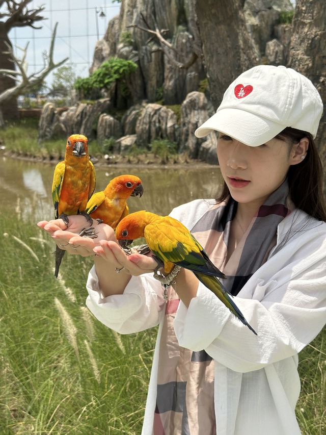 Nóng: Vingroup sẽ khai trương công viên nước hiện đại nhất Bắc Bộ ngay ngày mai, có đường trượt dài 738m, giá vé từ 200.000 đồng- Ảnh 2. Nóng: Vingroup sẽ khai trương công viên nước hiện đại nhất Bắc Bộ ngay ngày mai, có đường trượt dài 738m, giá vé từ 200.000 đồng- Ảnh 2.