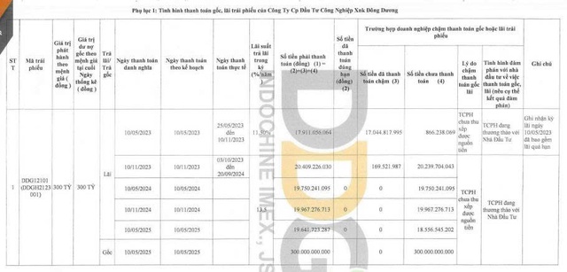 Xuất nhập khẩu Đông Dương ‘khất nợ’ hơn 380 tỷ đồng gốc, lãi trái phiếu - Ảnh 1.
