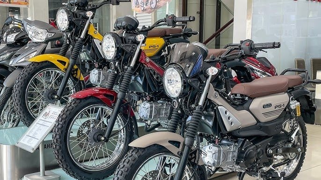 Giá xe máy ở mức thấp hiếm có: Honda Vision, SH, Winner X, Janus... bán dưới mức đề xuất tối đa 23 triệu đồng, tặng kèm đồng hồ xịn xò - Ảnh 7.