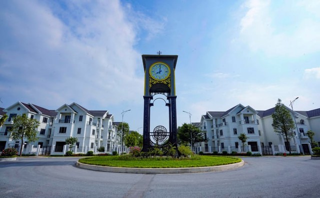 Công ty phát triển dự án Times Garden Vĩnh Yên Residences nợ thuế hơn 60 tỷ đồng - Ảnh 1.