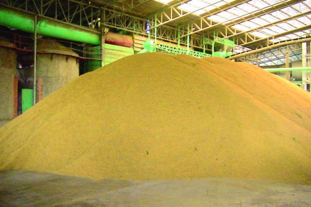 Sau sầu riêng, thêm 2 mặt hàng chủ lực của Việt Nam trở thành đối thủ lớn của Thái Lan: Trung Quốc mua hơn 90% sản lượng, xuất khẩu tăng 102% - Ảnh 1.