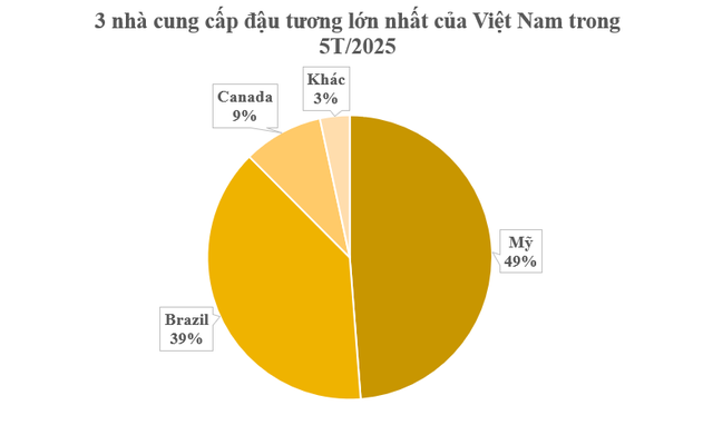 Hàng trăm nghìn tấn hàng từ Mỹ vừa đổ bộ Việt Nam với giá cực rẻ: Thuế nhập khẩu 0%, nước ta tiêu thụ đứng Top 3 thế giới - Ảnh 2.