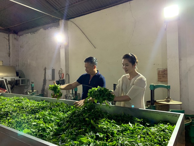 Shark Hưng khoe thương hiệu trà do ông và vợ sáng lập đang bán tại một khách sạn 5 sao ở Hà Nội: Chỉ mong bán trà giá đắt vì đây là tín hiệu đáng mừng cho người nông dân - Ảnh 2.