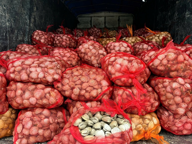 2 người đàn ông vận chuyển 17 tấn ngao, hàu từ biên giới vào trong nước tiêu thụ bị phát hiện- Ảnh 2.