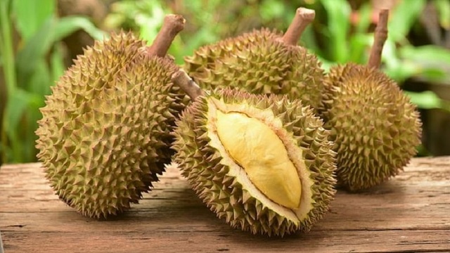 Thêm một đối thủ với sầu riêng Việt Nam ở thị trường Trung Quốc- Ảnh 1. Thêm một đối thủ với sầu riêng Việt Nam ở thị trường Trung Quốc- Ảnh 1.