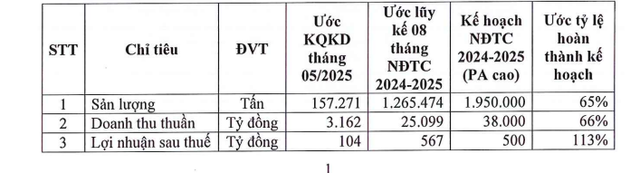 Hoa Sen Group bổ nhiệm một Phó Tổng Giám đốc - Ảnh 1.