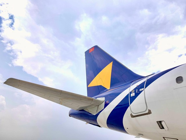 Vietravel Airlines hủy loạt chuyến bay do sự cố va chạm với chim - Ảnh 1.