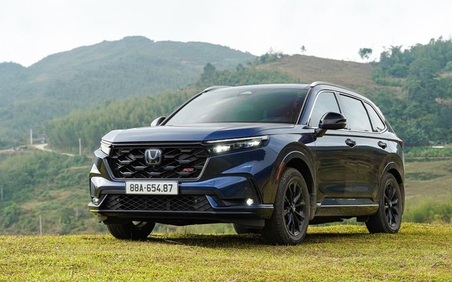 Xe hybrid tăng tốc tại Việt Nam: Trỗi dậy hay chỉ là 'trạm dừng' giữa xe xăng và xe điện? - Ảnh 3.