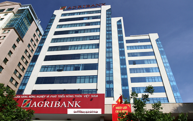 Một số tồn tại, hạn chế trong hoạt động cấp tín dụng tại Agribank Ngã Bảy - Ảnh 1.