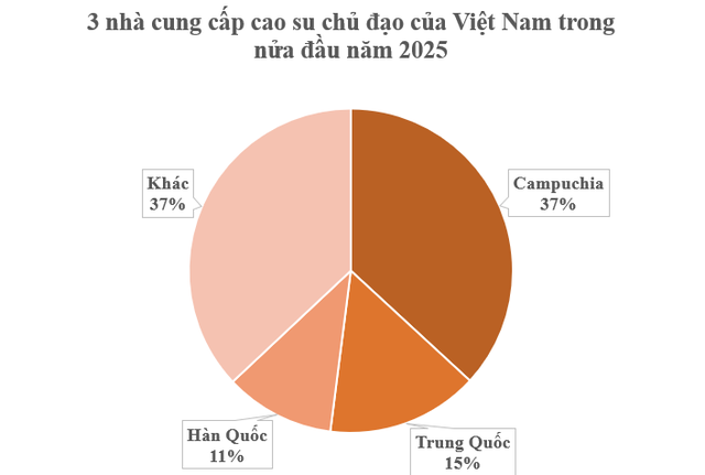 Không phải sầu riêng, cứu tinh từ Capuchia đổ bộ giúp Việt Nam đua với Thái Lan: Là cây quý thu về hàng tỷ USD mỗi năm, Trung Quốc liên tục săn lùng - Ảnh 1.